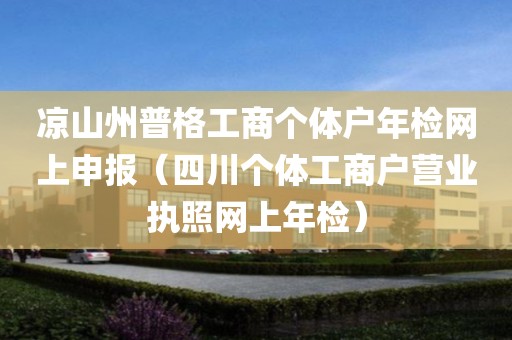 凉山州普格工商个体户年检网上申报（四川个体工商户营业执照网上年检）