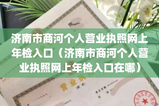 济南市商河个人营业执照网上年检入口（济南市商河个人营业执照网上年检入口在哪）