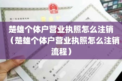 楚雄个体户营业执照怎么注销（楚雄个体户营业执照怎么注销流程）