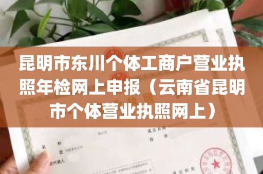 昆明市东川个体工商户营业执照年检网上申报（云南省昆明市个体营业执照网上）