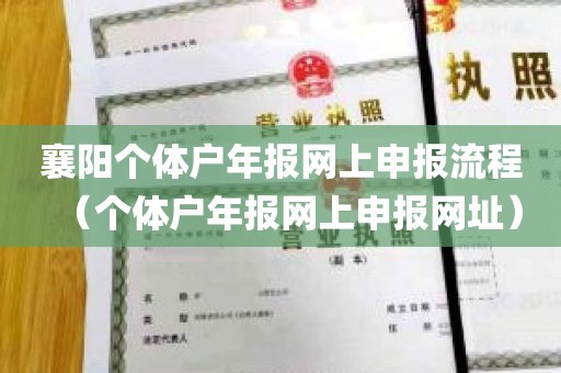 襄阳个体户年报网上申报流程（个体户年报网上申报网址）