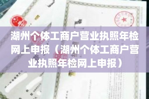 湖州个体工商户营业执照年检网上申报（湖州个体工商户营业执照年检网上申报）