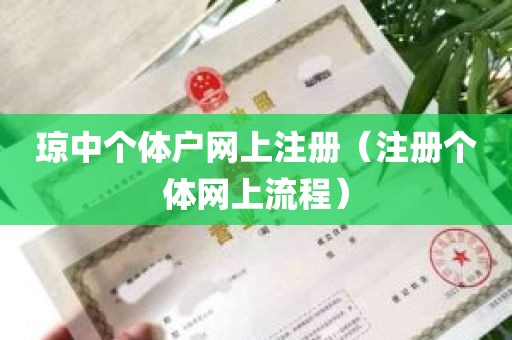 琼中个体户网上注册（注册个体网上流程）