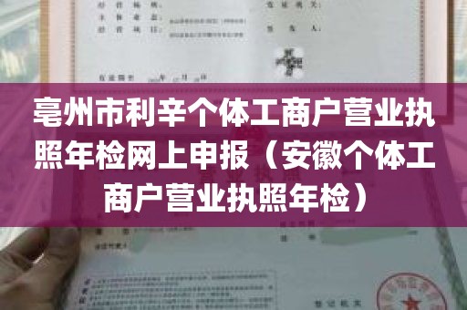 亳州市利辛个体工商户营业执照年检网上申报（安徽个体工商户营业执照年检）