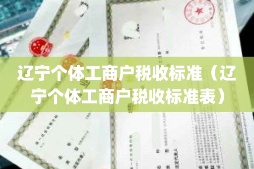 辽宁个体工商户税收标准（辽宁个体工商户税收标准表）