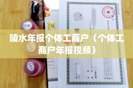 陵水年报个体工商户（个体工商户年报视频）