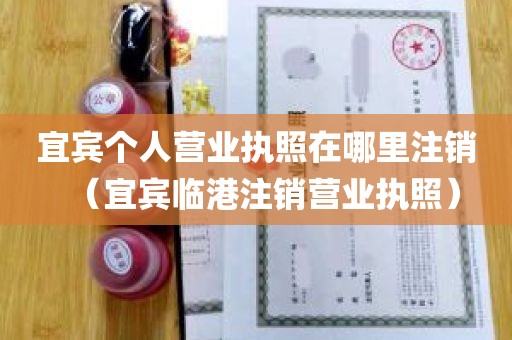 宜宾个人营业执照在哪里注销（宜宾临港注销营业执照）