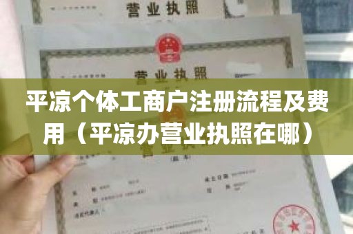 平凉个体工商户注册流程及费用（平凉办营业执照在哪）