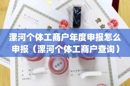 漯河个体工商户年度申报怎么申报（漯河个体工商户查询）