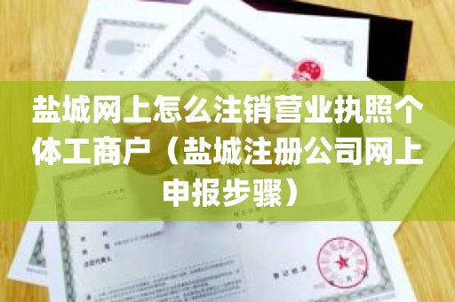 盐城网上怎么注销营业执照个体工商户（盐城注册公司网上申报步骤）