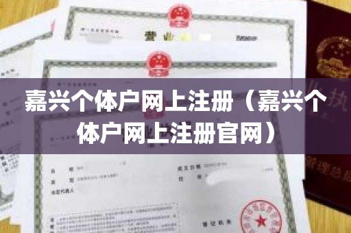 嘉兴个体户网上注册（嘉兴个体户网上注册官网）