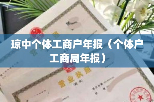 琼中个体工商户年报（个体户工商局年报）