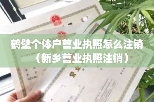 鹤壁个体户营业执照怎么注销（新乡营业执照注销）