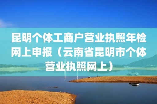 昆明个体工商户营业执照年检网上申报（云南省昆明市个体营业执照网上）