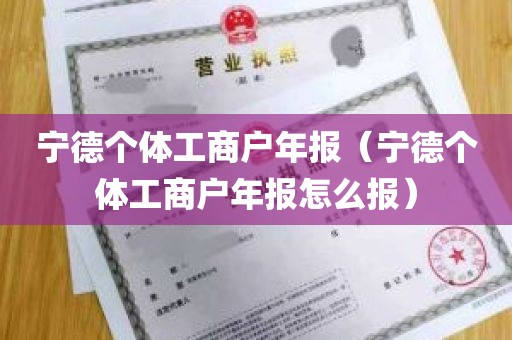 宁德个体工商户年报（宁德个体工商户年报怎么报）