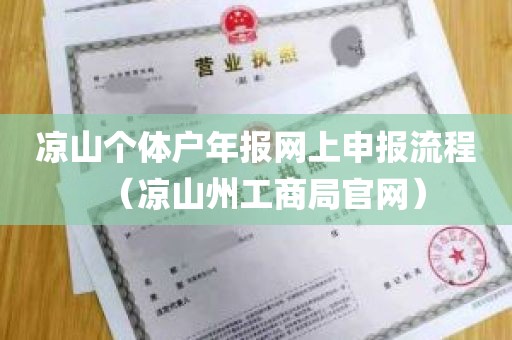 凉山个体户年报网上申报流程（凉山州工商局官网）