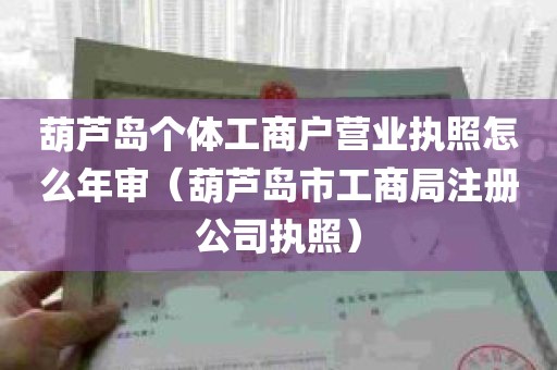 葫芦岛个体工商户营业执照怎么年审（葫芦岛市工商局注册公司执照）