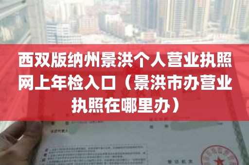 西双版纳州景洪个人营业执照网上年检入口（景洪市办营业执照在哪里办）