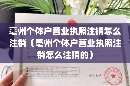 亳州个体户营业执照注销怎么注销（亳州个体户营业执照注销怎么注销的）