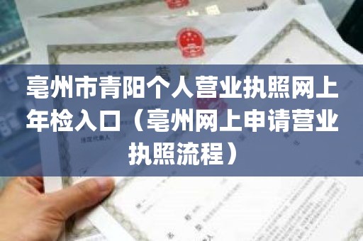 亳州市青阳个人营业执照网上年检入口（亳州网上申请营业执照流程）