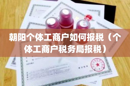 朝阳个体工商户如何报税（个体工商户税务局报税）