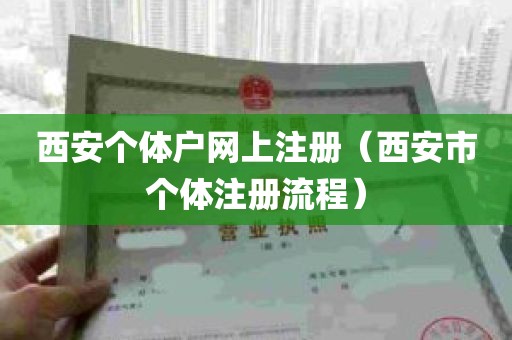 西安个体户网上注册（西安市个体注册流程）