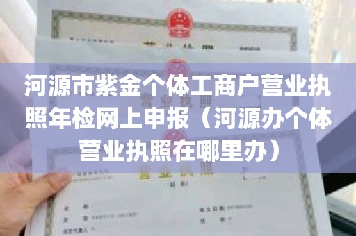 河源市紫金个体工商户营业执照年检网上申报（河源办个体营业执照在哪里办）