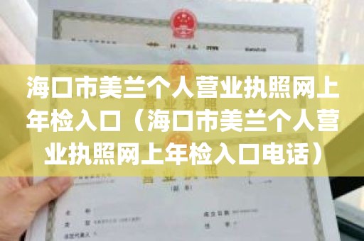 海口市美兰个人营业执照网上年检入口（海口市美兰个人营业执照网上年检入口电话）