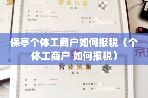 保亭个体工商户如何报税（个体工商户 如何报税）