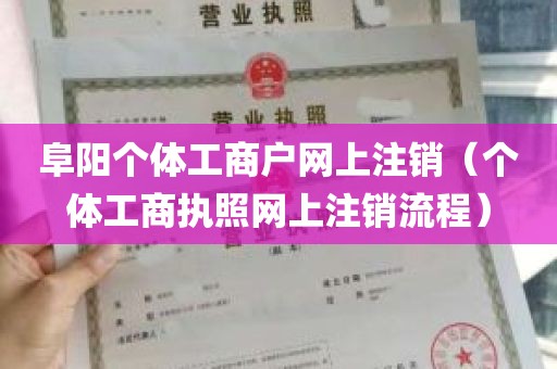 阜阳个体工商户网上注销（个体工商执照网上注销流程）