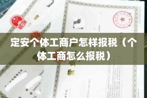 定安个体工商户怎样报税（个体工商怎么报税）