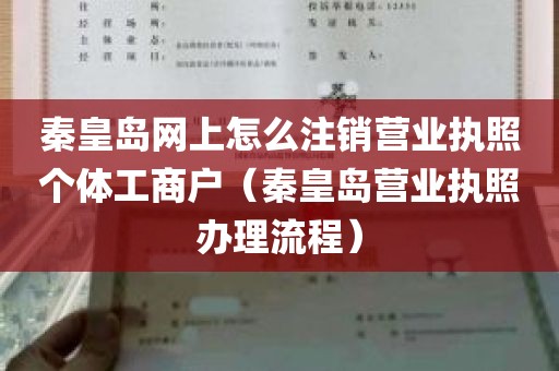 秦皇岛网上怎么注销营业执照个体工商户（秦皇岛营业执照办理流程）