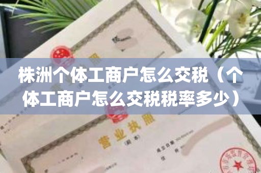 株洲个体工商户怎么交税（个体工商户怎么交税税率多少）