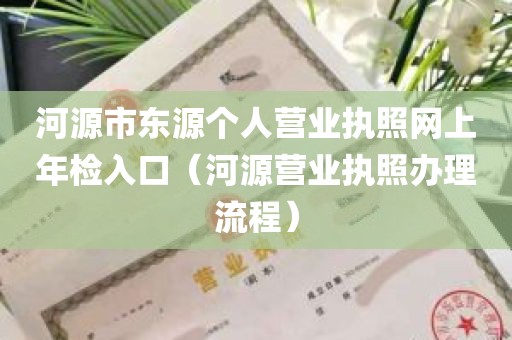 河源市东源个人营业执照网上年检入口（河源营业执照办理流程）