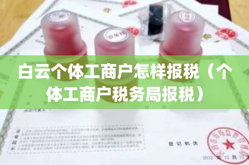 白云个体工商户怎样报税（个体工商户税务局报税）