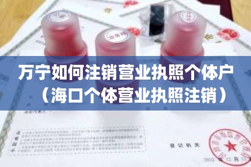 万宁如何注销营业执照个体户（海口个体营业执照注销）