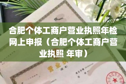 合肥个体工商户营业执照年检网上申报（合肥个体工商户营业执照 年审）