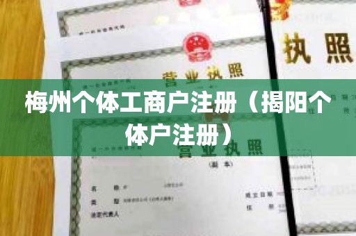 梅州个体工商户注册（揭阳个体户注册）