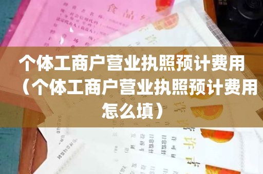 个体工商户营业执照预计费用（个体工商户营业执照预计费用怎么填）