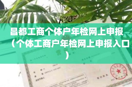 昌都工商个体户年检网上申报（个体工商户年检网上申报入口）