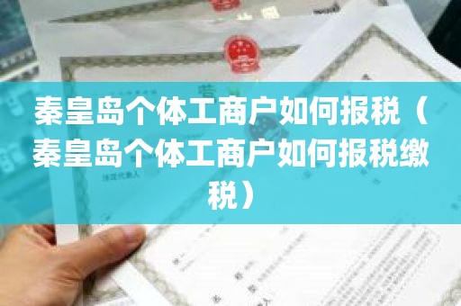 秦皇岛个体工商户如何报税（秦皇岛个体工商户如何报税缴税）