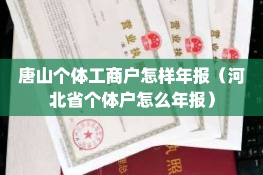 唐山个体工商户怎样年报（河北省个体户怎么年报）