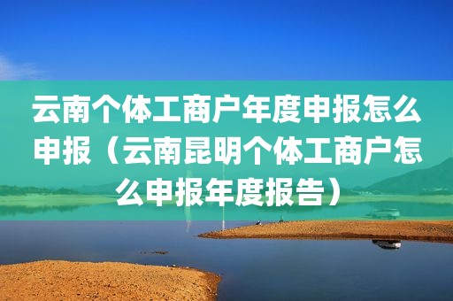 云南个体工商户年度申报怎么申报（云南昆明个体工商户怎么申报年度报告）