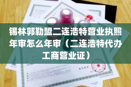 锡林郭勒盟二连浩特营业执照年审怎么年审（二连浩特代办工商营业证）