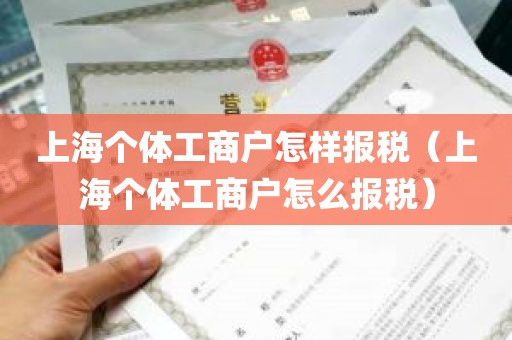 上海个体工商户怎样报税（上海个体工商户怎么报税）