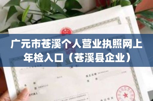 广元市苍溪个人营业执照网上年检入口（苍溪县企业）