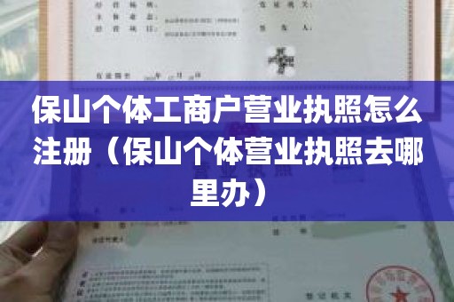 保山个体工商户营业执照怎么注册（保山个体营业执照去哪里办）