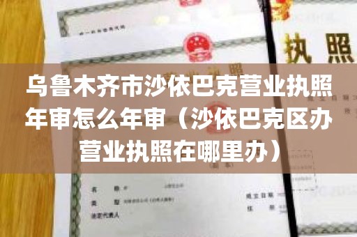 乌鲁木齐市沙依巴克营业执照年审怎么年审（沙依巴克区办营业执照在哪里办）