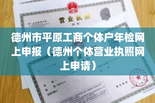 德州市平原工商个体户年检网上申报（德州个体营业执照网上申请）