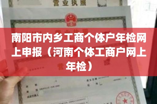 南阳市内乡工商个体户年检网上申报（河南个体工商户网上年检）